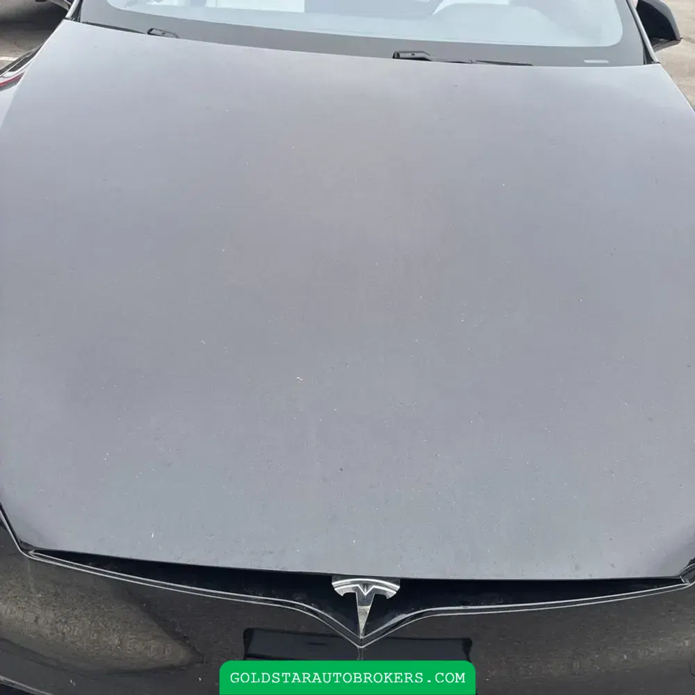 2023 Tesla Model S Plaid