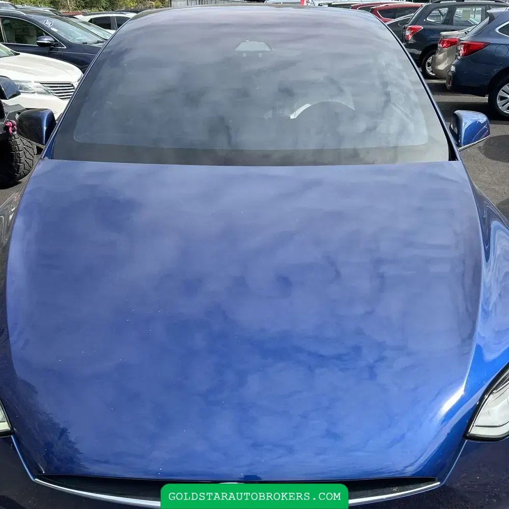 2021 Tesla Model X Plaid