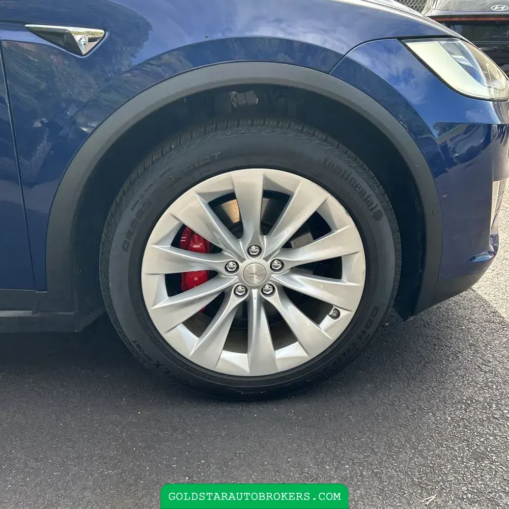 2021 Tesla Model X Plaid