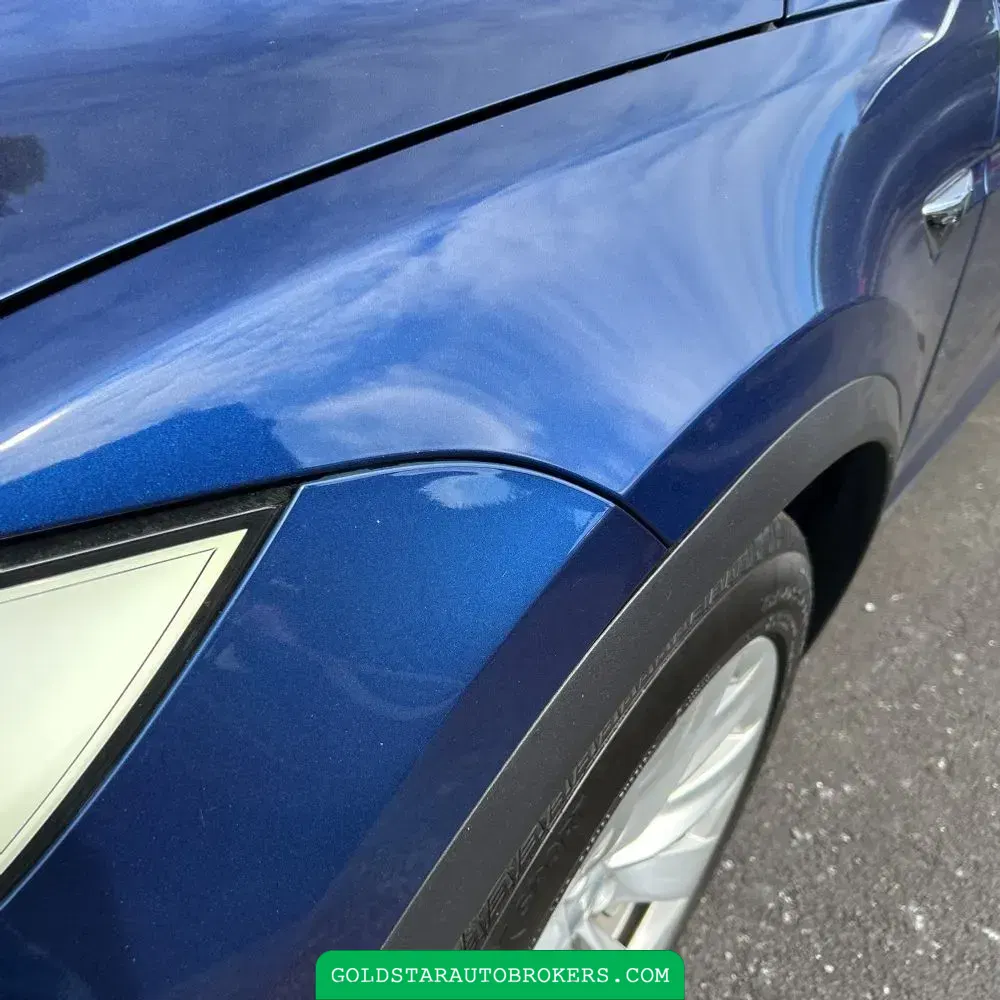 2021 Tesla Model X Plaid