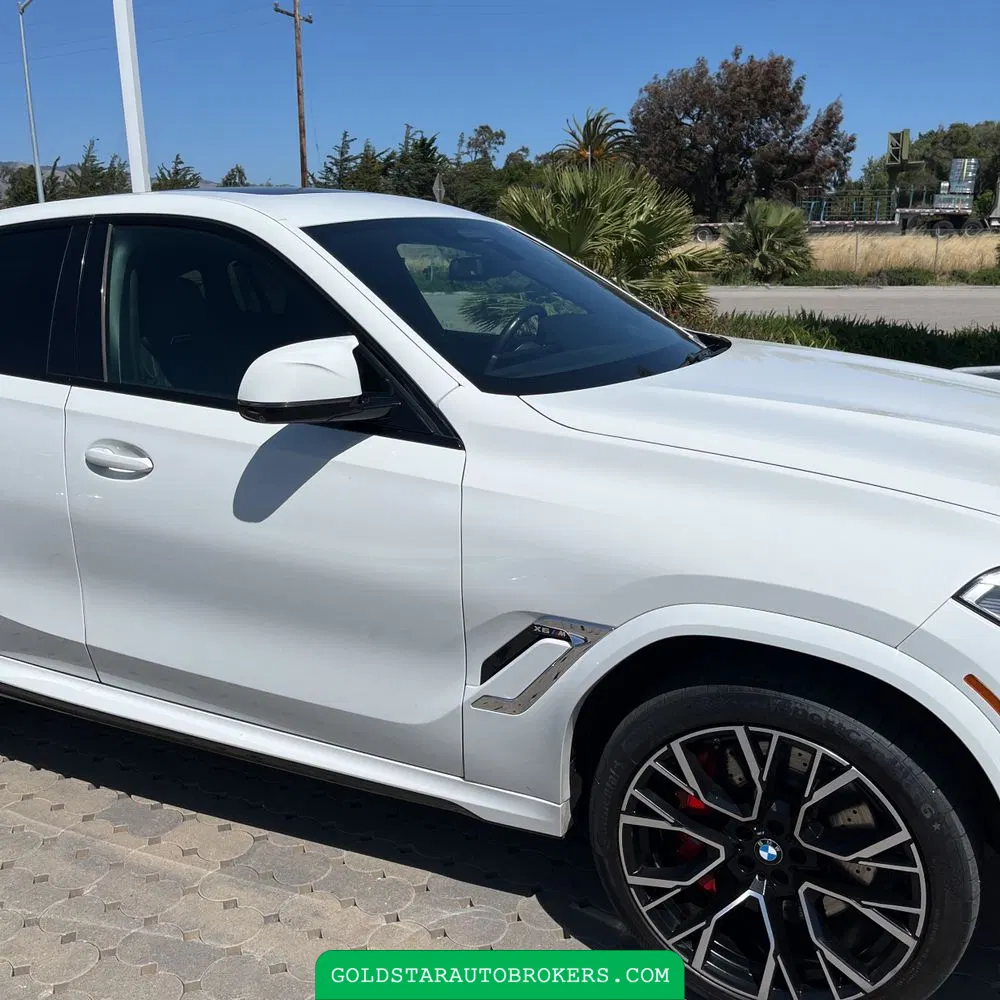 2022 BMW X6 M
