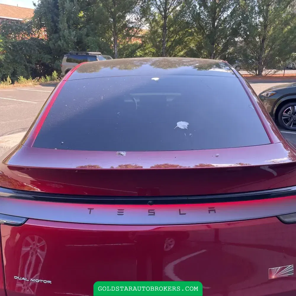 2026 Tesla Model Y Launch Series