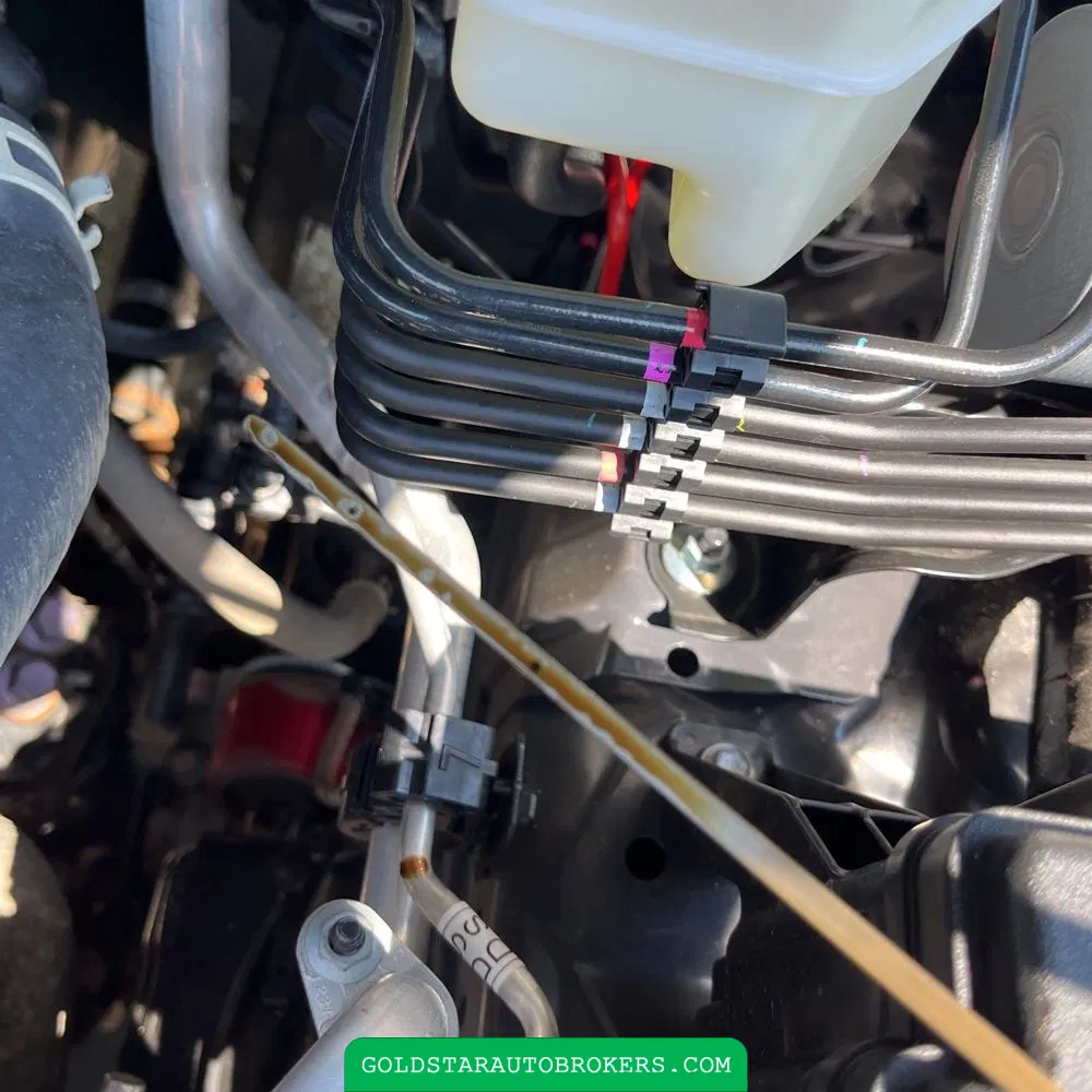 2025 Toyota 4Runner TRD Pro HV