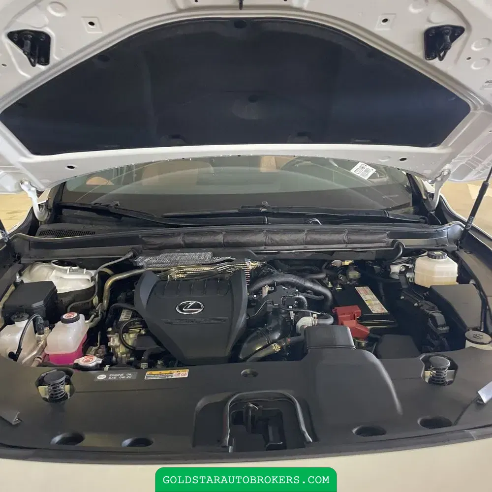 2023 Lexus RX 350 Premium