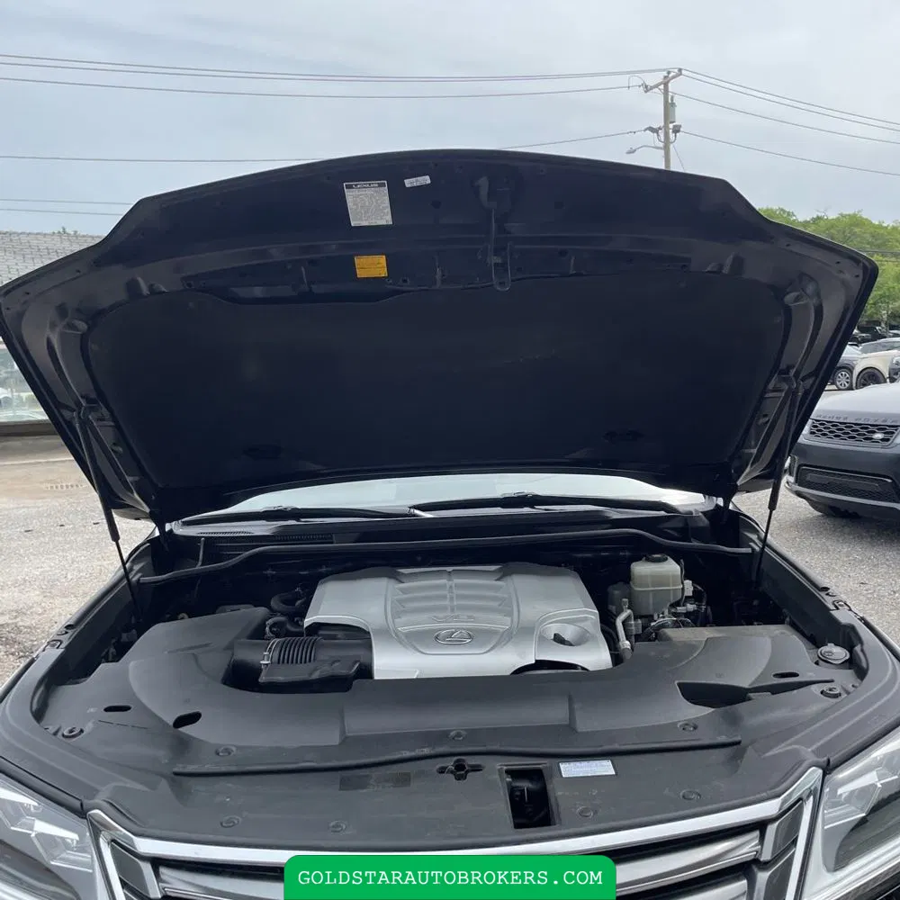 2020 Lexus LX 570 Two-Row