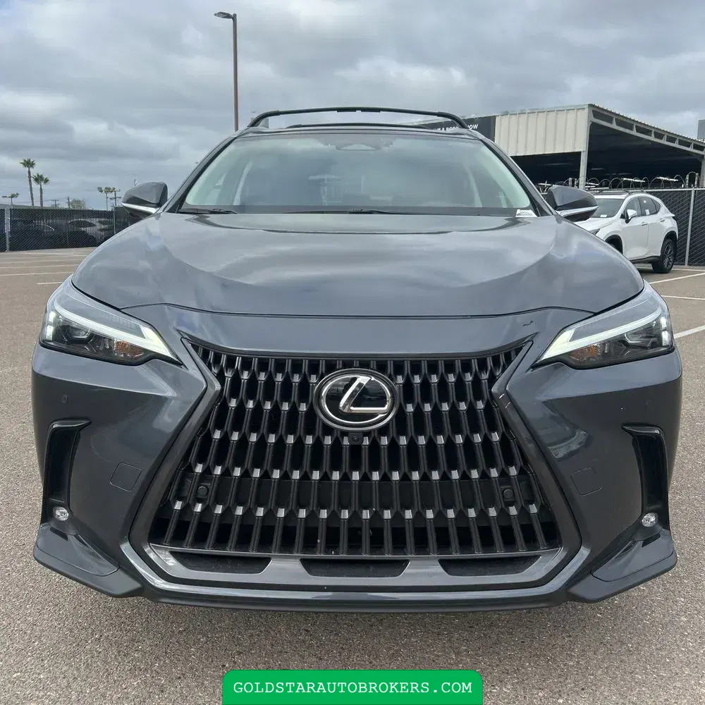 2025 Lexus NX 350h Premium
