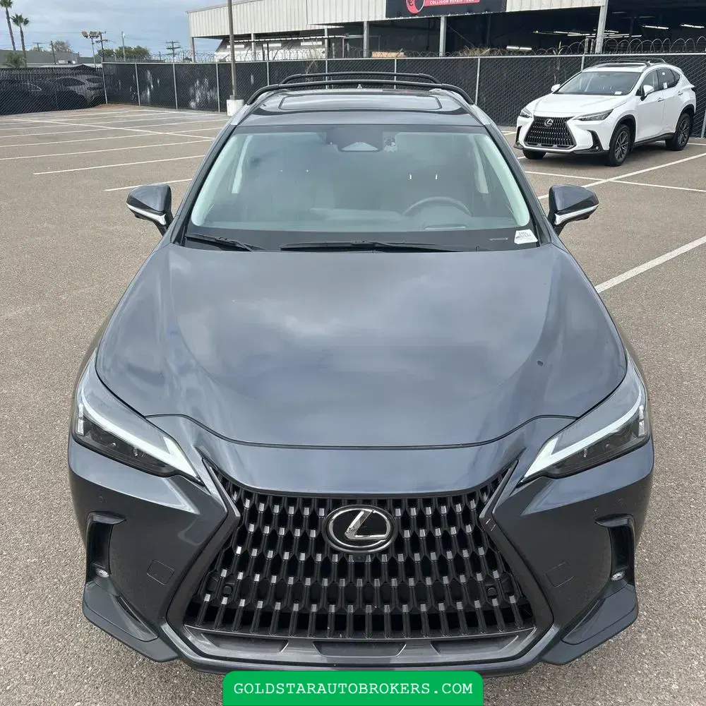 2025 Lexus NX 350h Premium
