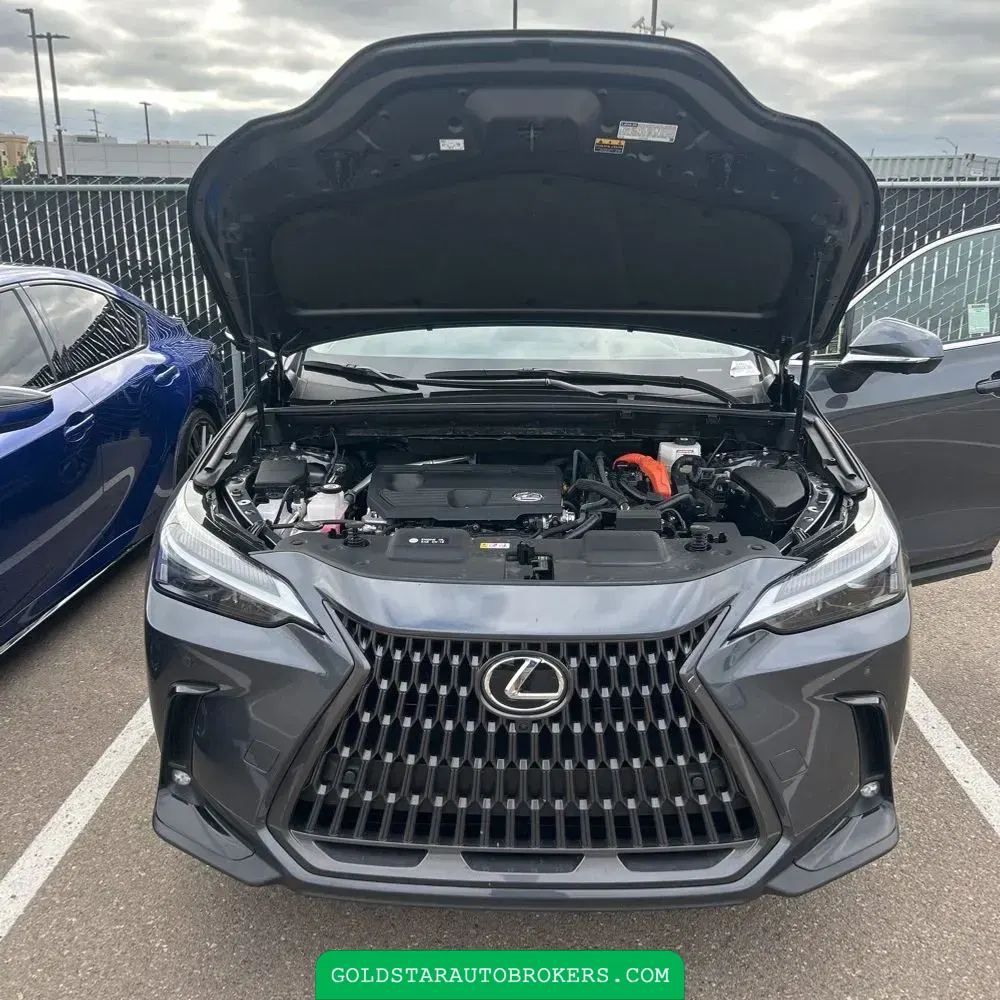 2025 Lexus NX 350h Premium