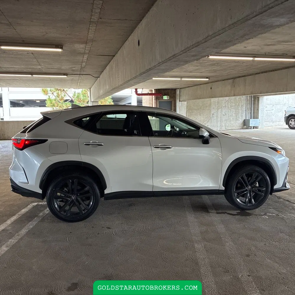 2024 Lexus NX 450h+ Base