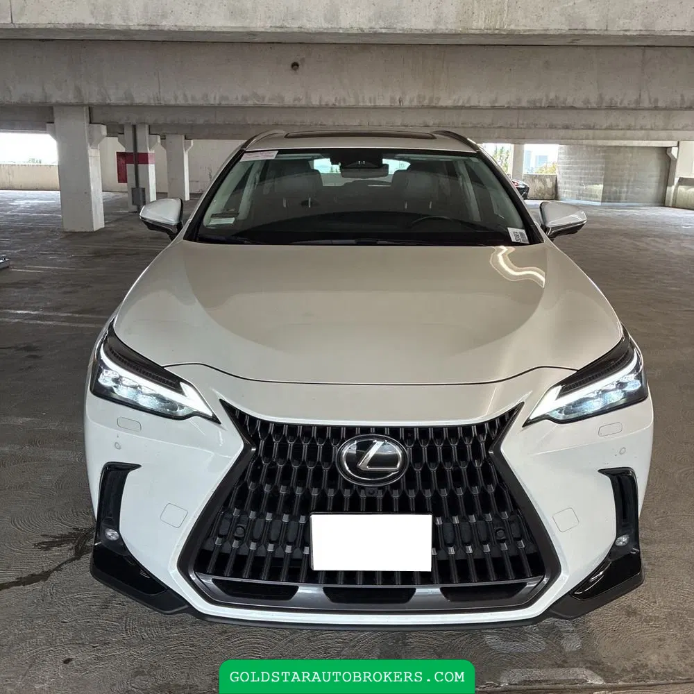 2024 Lexus NX 450h+ Base