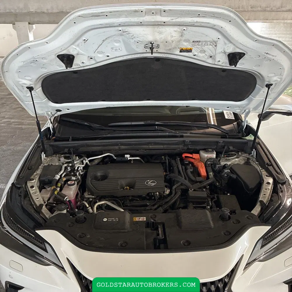 2024 Lexus NX 450h+ Base