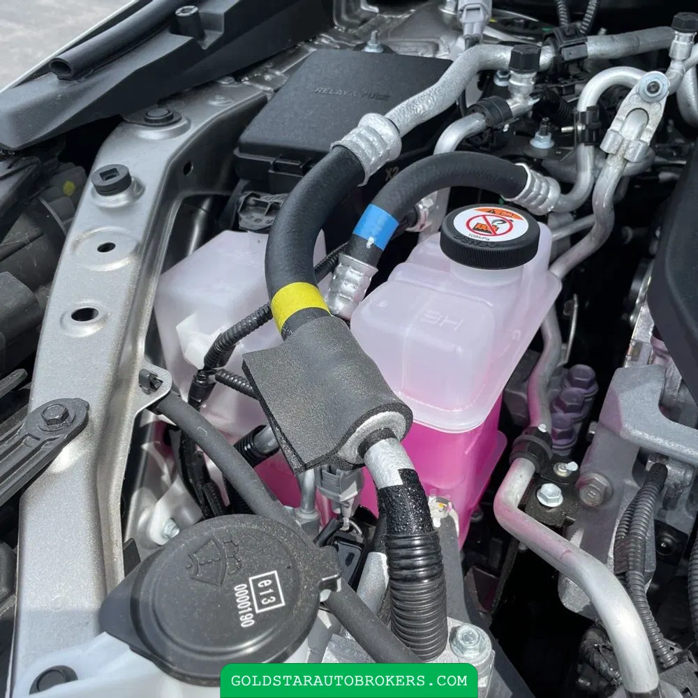 2025 Lexus NX 450h+ Base