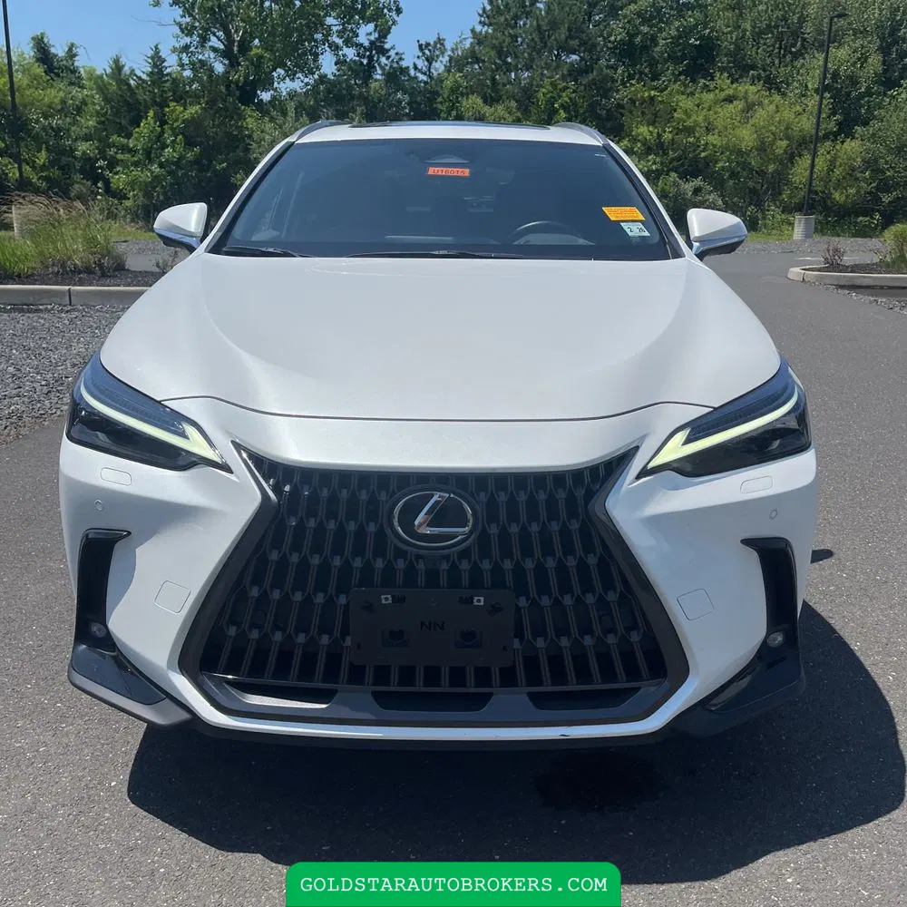 2022 Lexus NX 450h+ Base