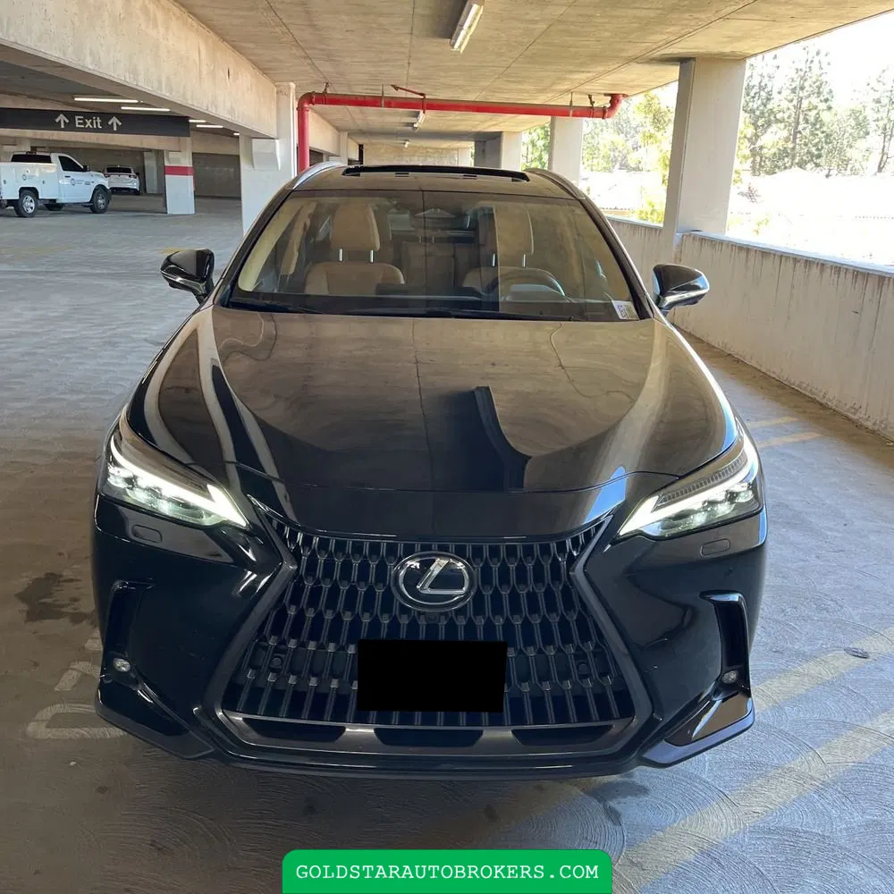 2023 Lexus NX 450h+ Base