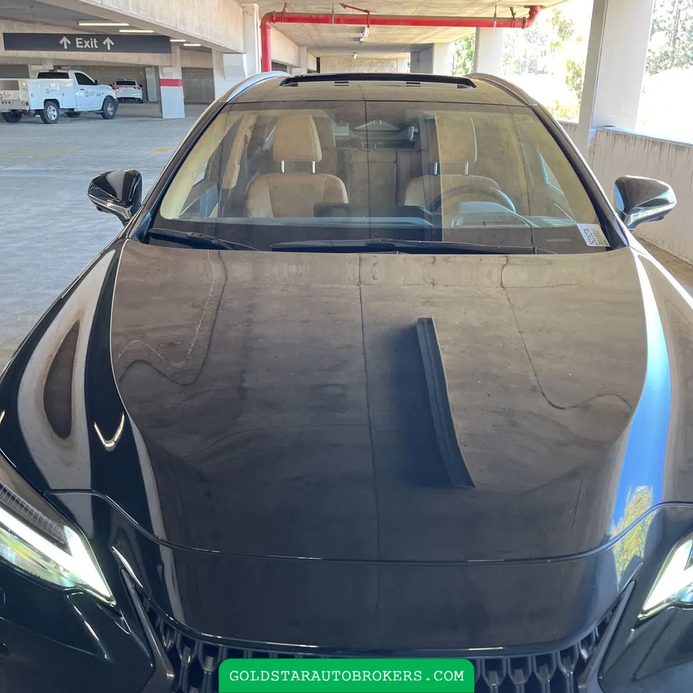 2023 Lexus NX 450h+ Base