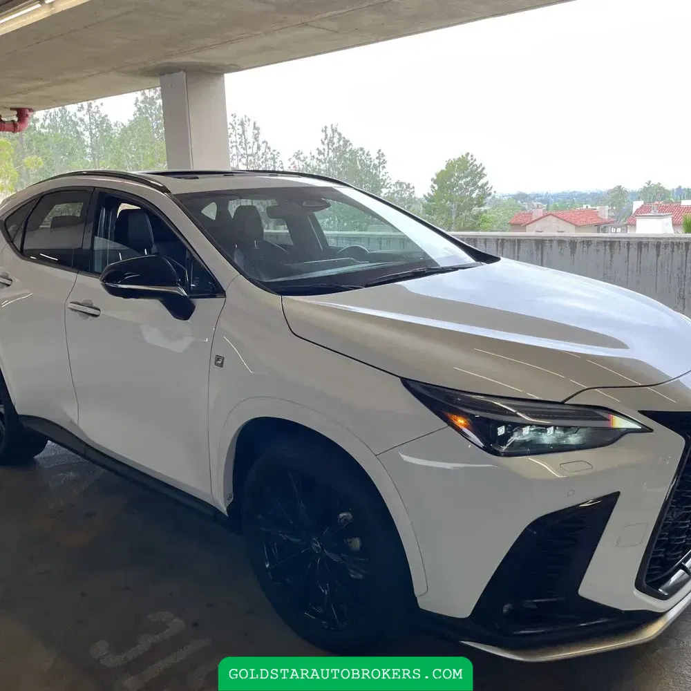 2024 Lexus NX 450h+ F SPORT Handling