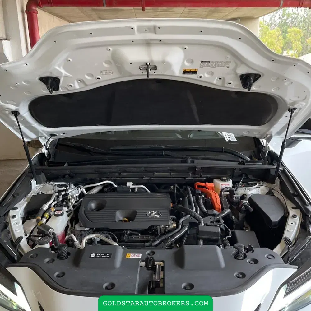 2024 Lexus NX 450h+ F SPORT Handling