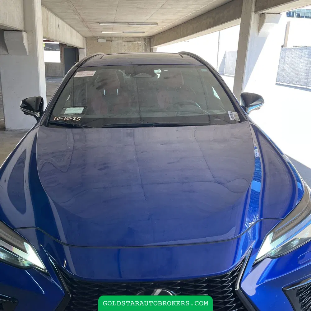 2024 Lexus NX 450h+ F SPORT Handling