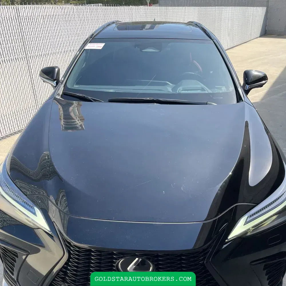 2024 Lexus NX 450h+ F SPORT Handling