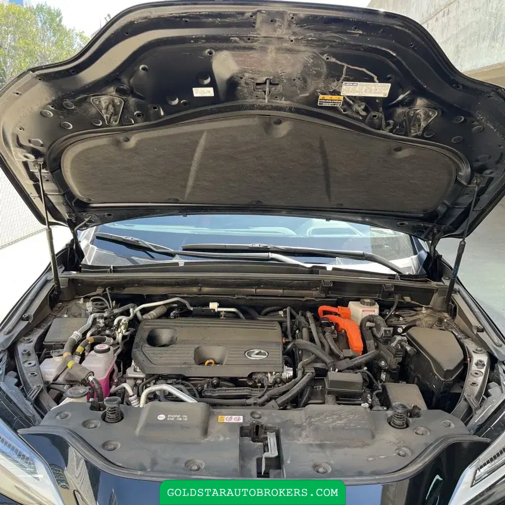 2024 Lexus NX 450h+ F SPORT Handling