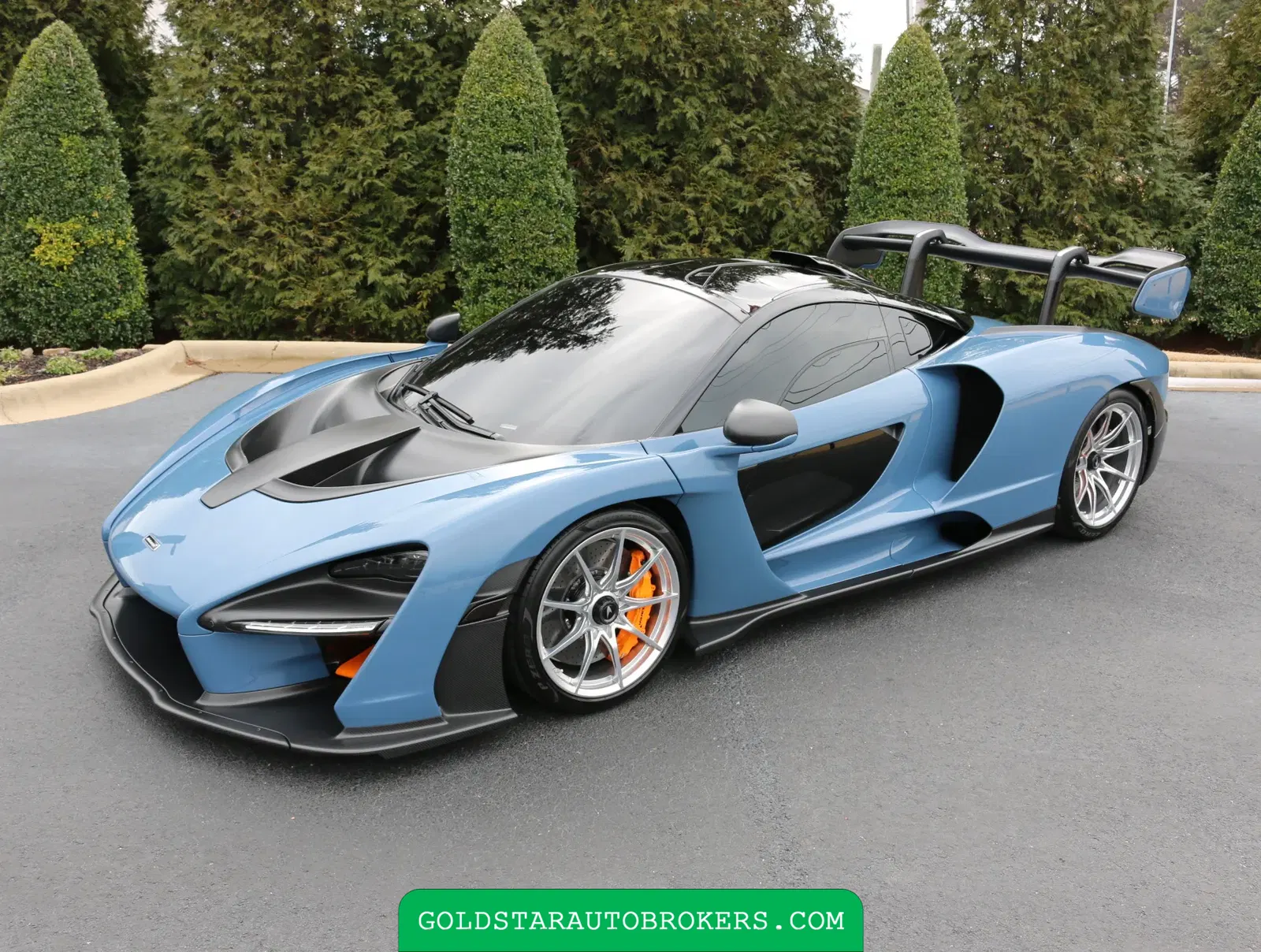 2019 McLaren Senna