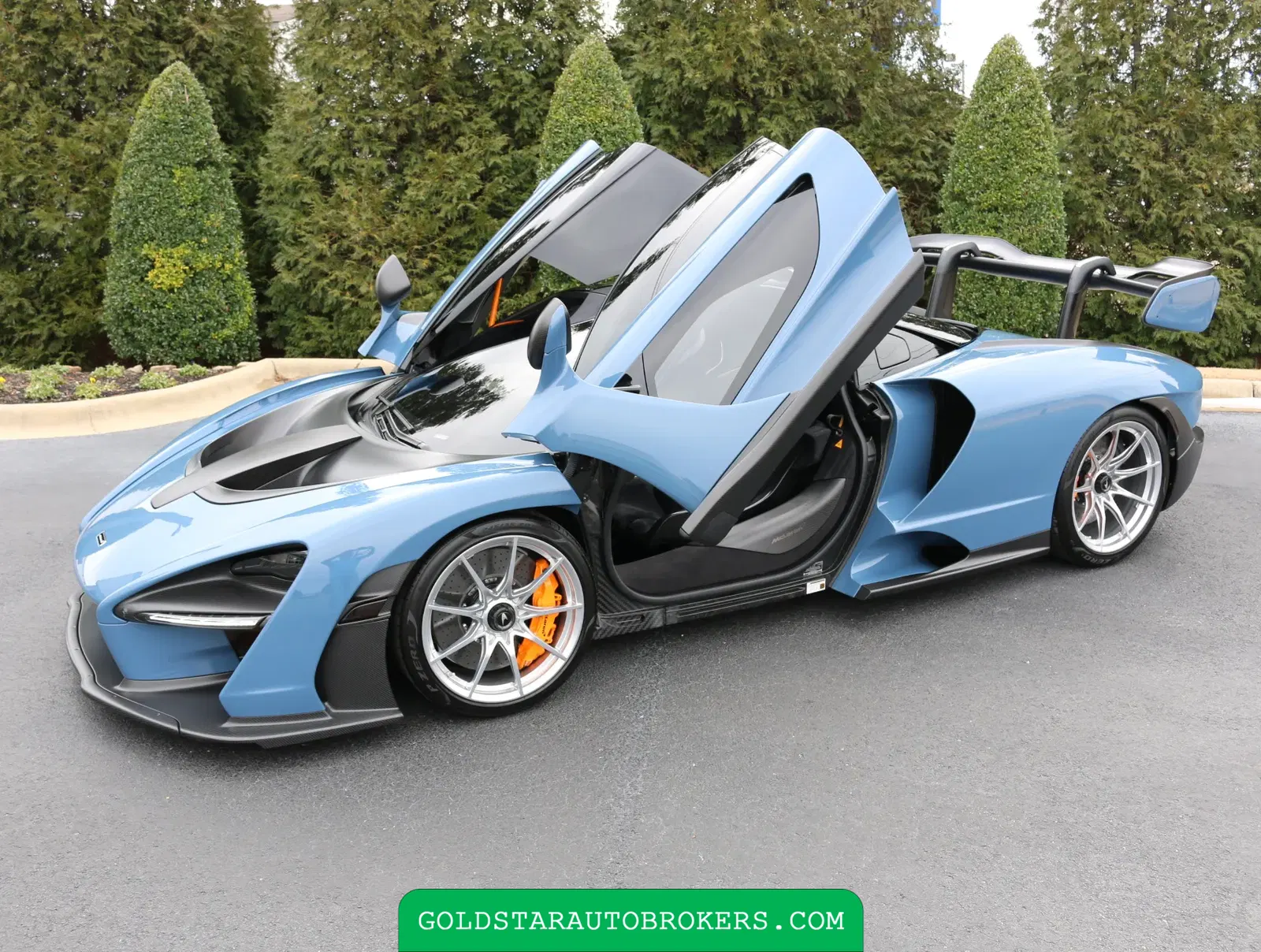 2019 McLaren Senna