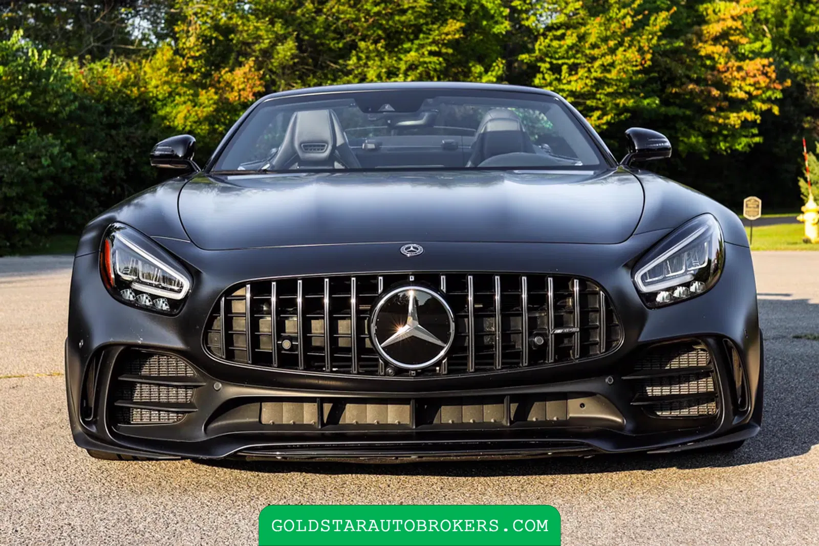 2020 Mercedes-Benz AMG GT R Roadster