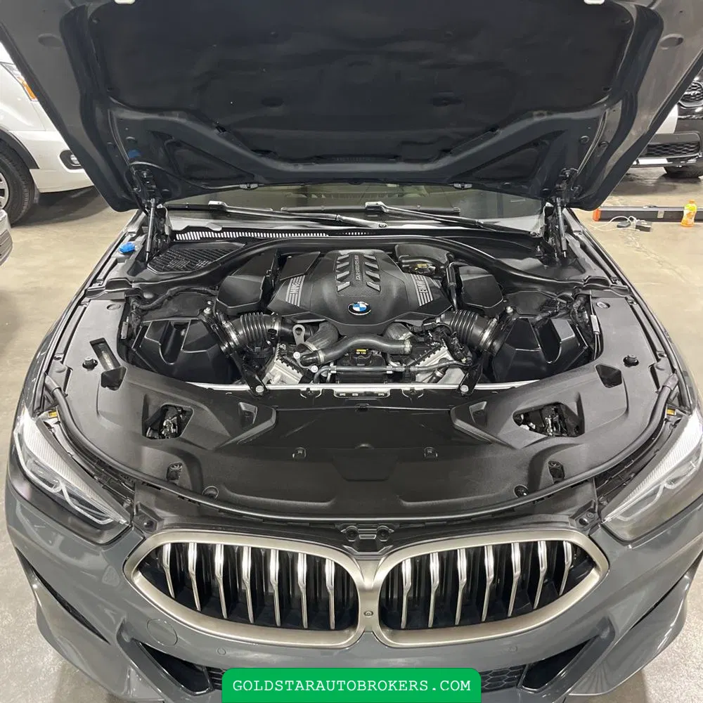 2019 BMW 8-Series M850xi