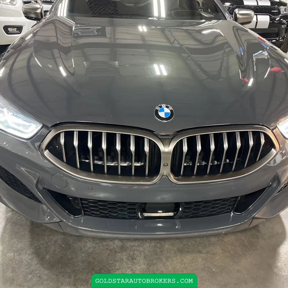 2019 BMW 8-Series M850xi