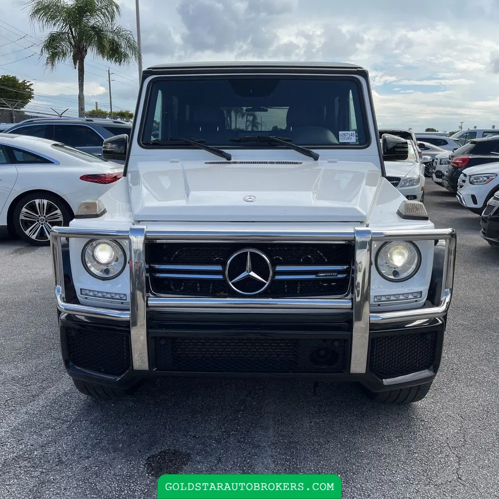 2017 Mercedes-Benz G-Class AMG G 63