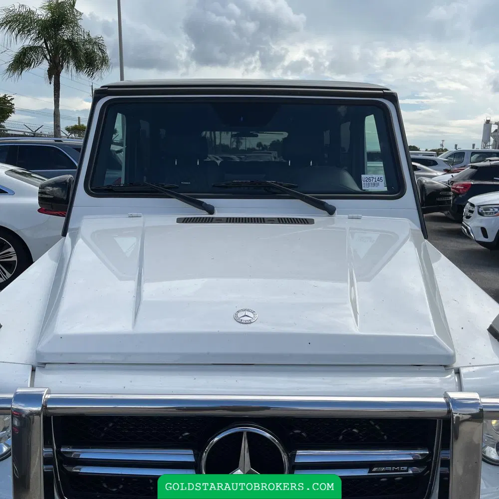 2017 Mercedes-Benz G-Class AMG G 63