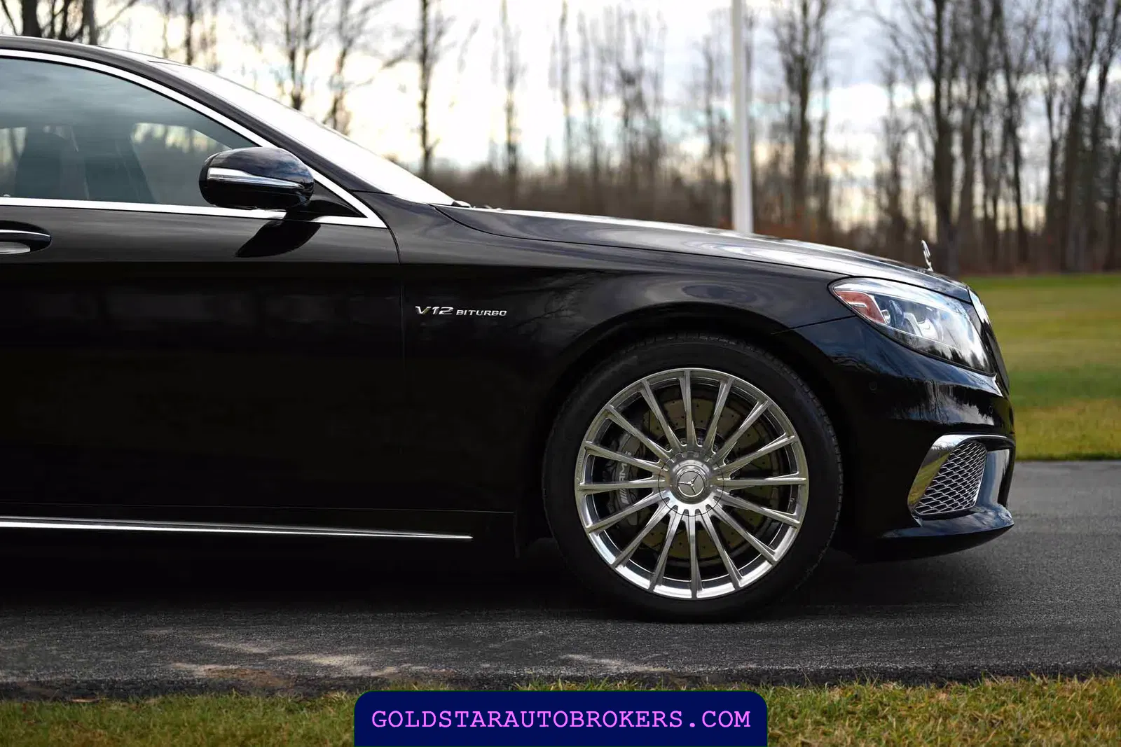 2015 Mercedes-Benz S65 AMG AMG Sedan