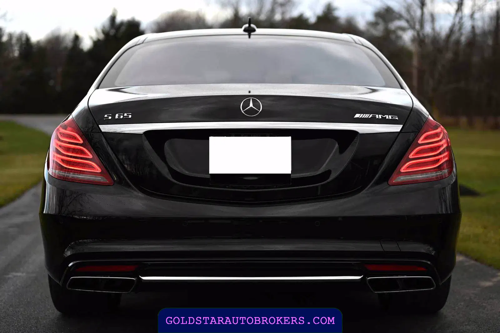 2015 Mercedes-Benz S65 AMG AMG Sedan