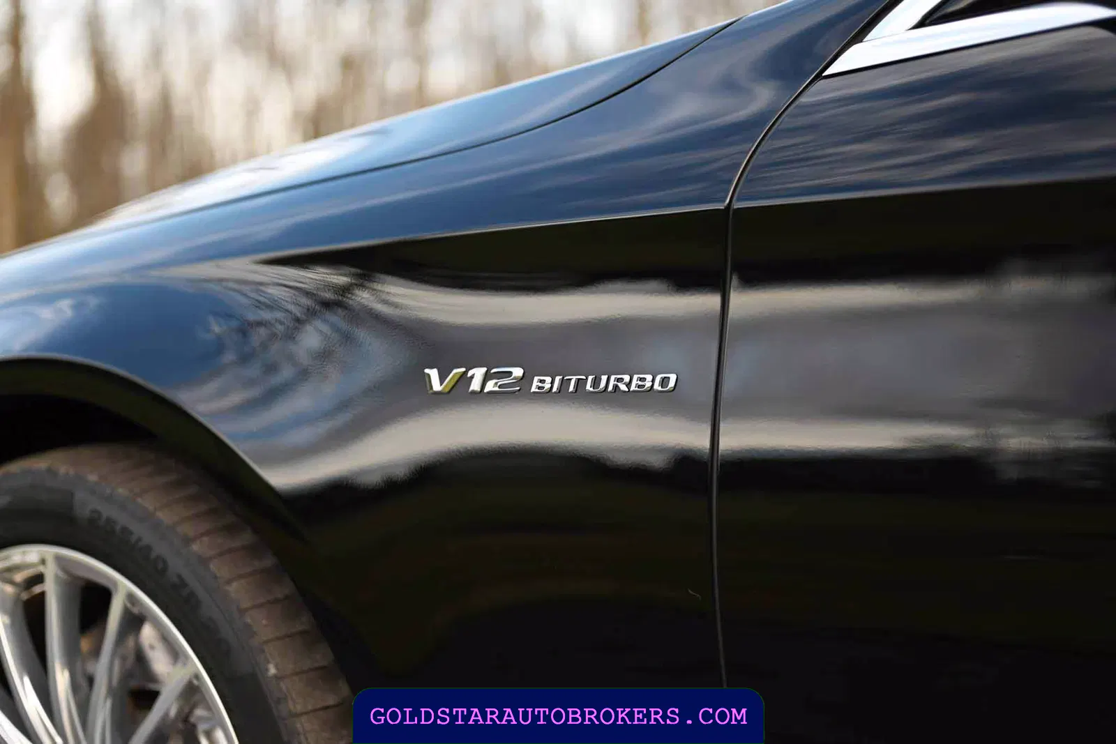 2015 Mercedes-Benz S65 AMG AMG Sedan