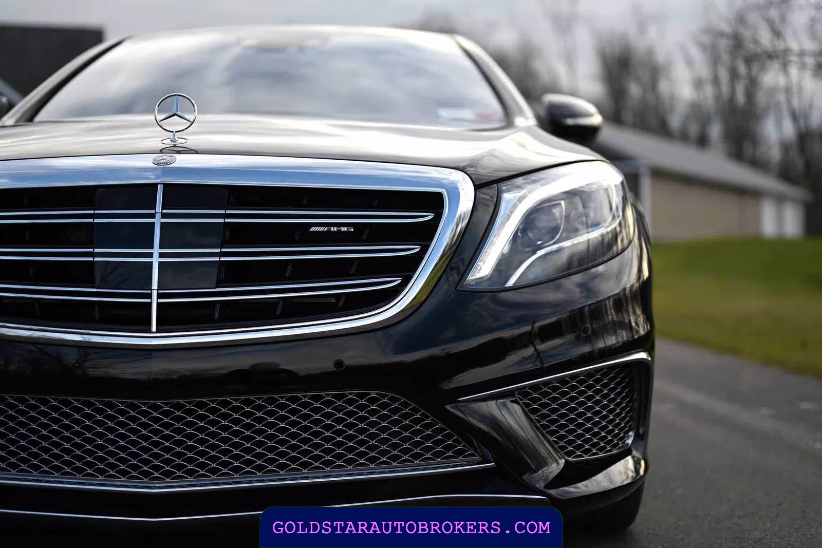 2015 Mercedes-Benz S65 AMG AMG Sedan