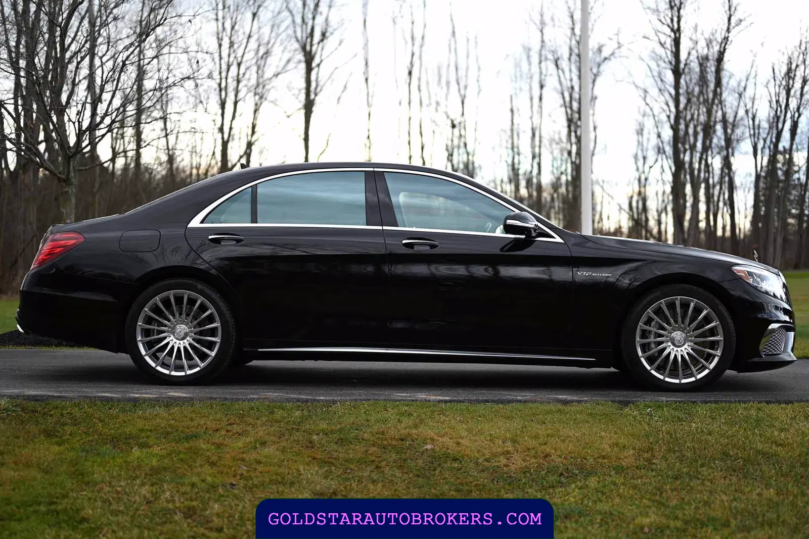 2015 Mercedes-Benz S65 AMG AMG Sedan