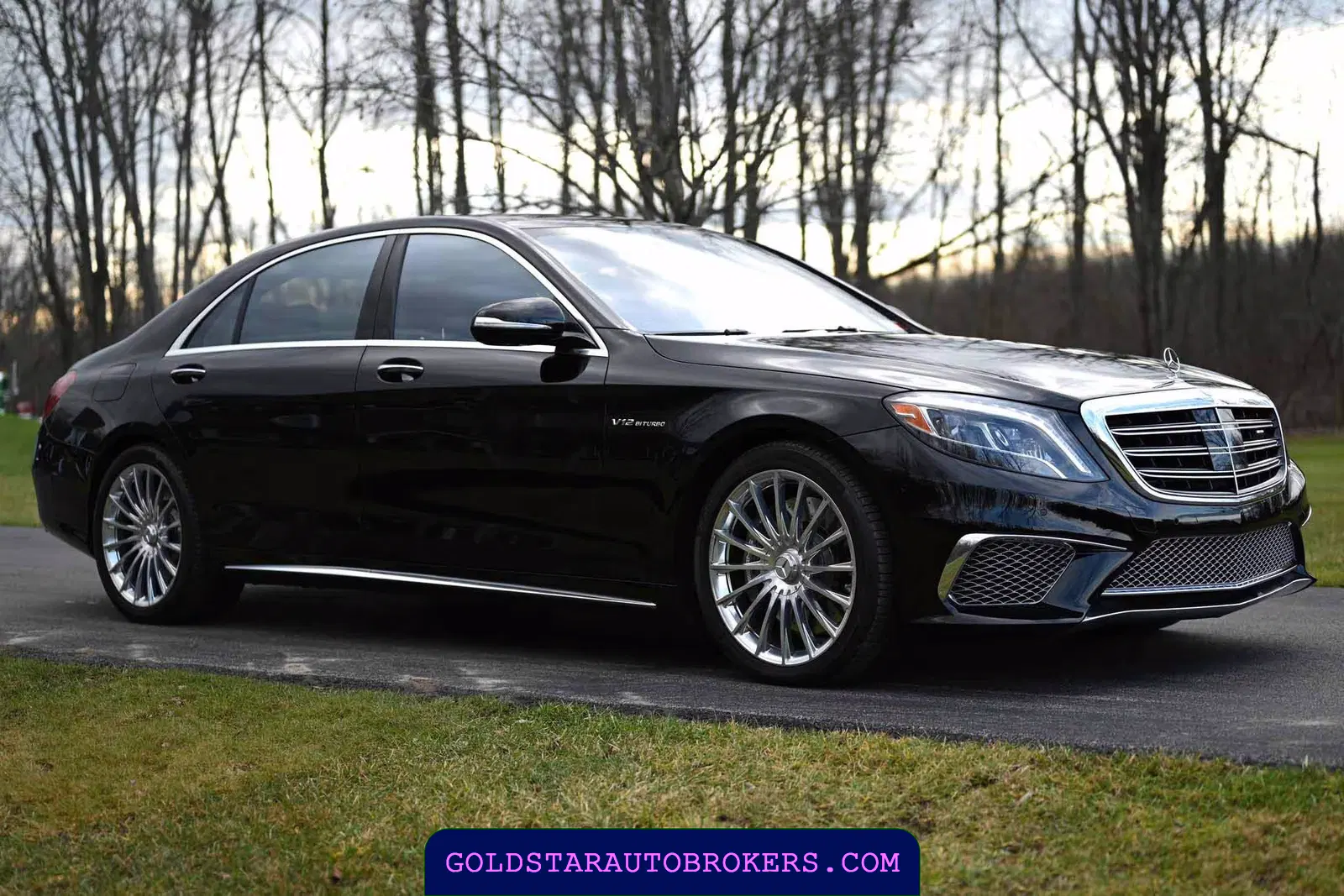2015 Mercedes-Benz S65 AMG AMG Sedan