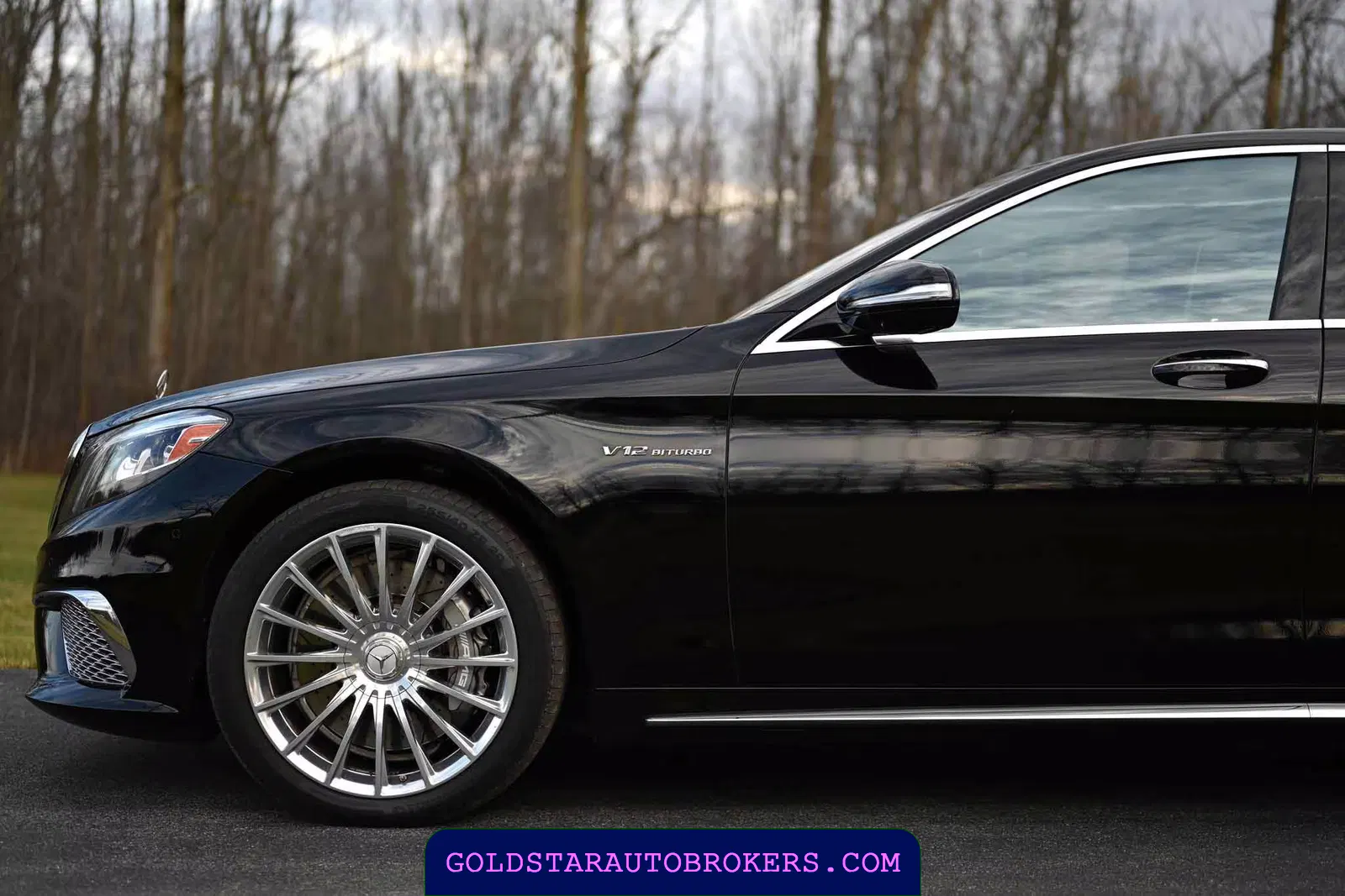 2015 Mercedes-Benz S65 AMG AMG Sedan