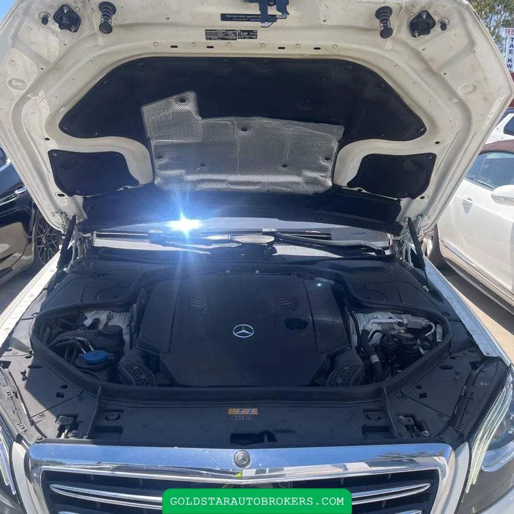 2019 Mercedes-Benz S-Class S 560