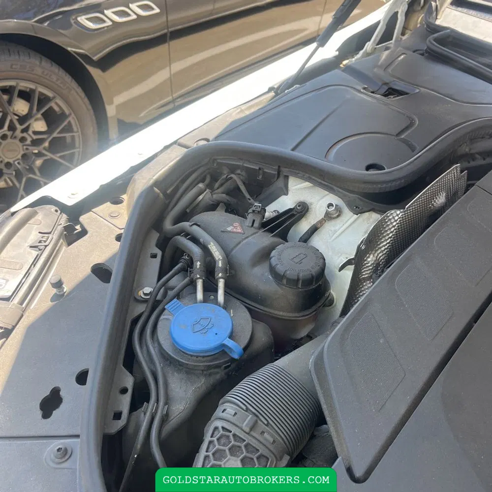 2019 Mercedes-Benz S-Class S 560