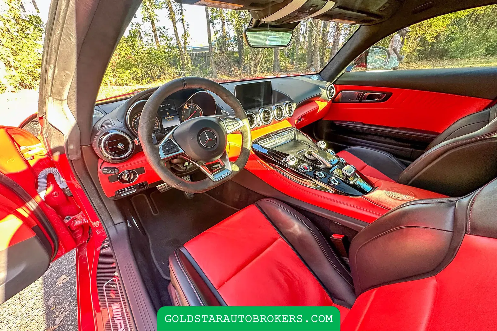 2016 Mercedes-Benz AMG GT S