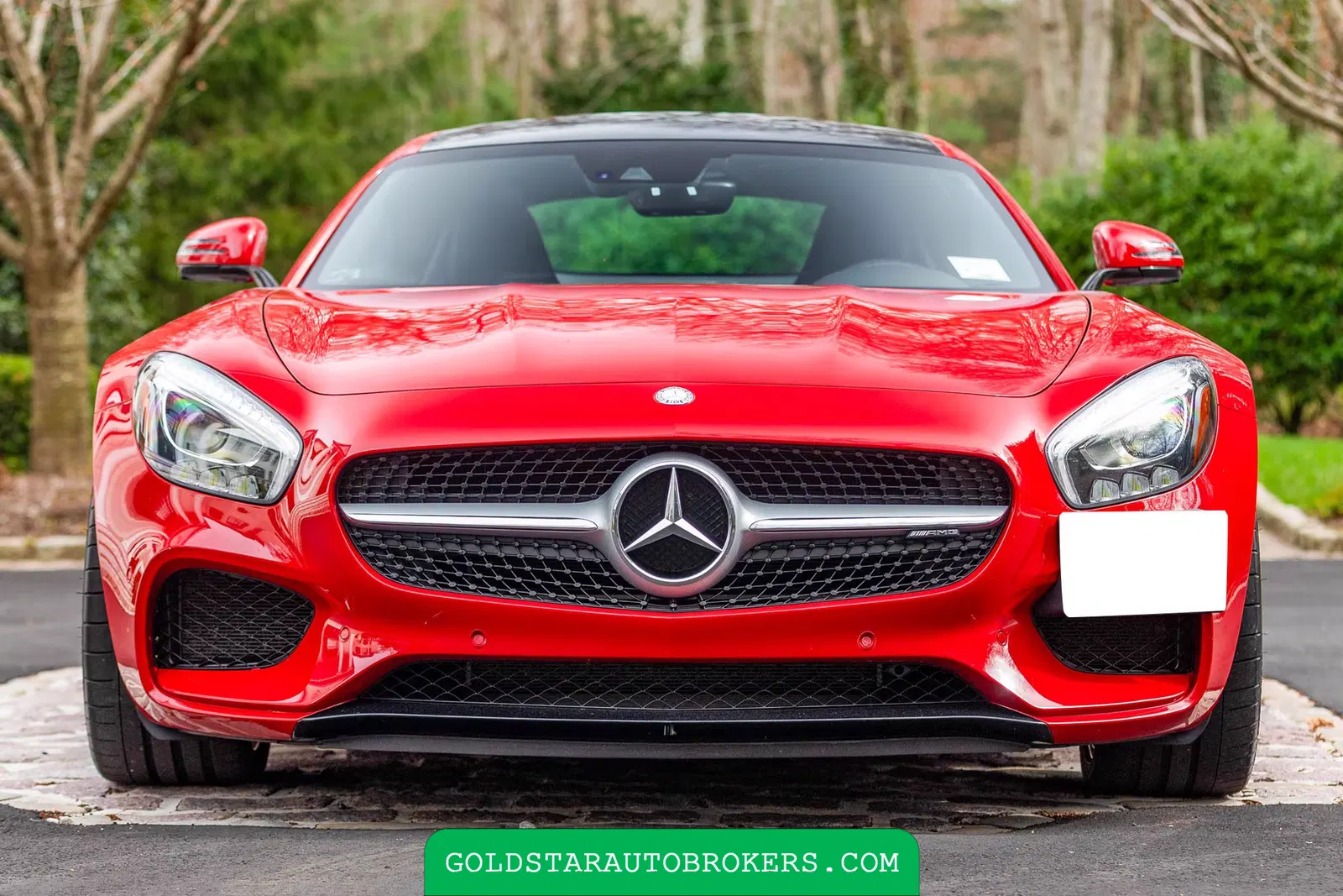 2016 Mercedes-Benz AMG GT S