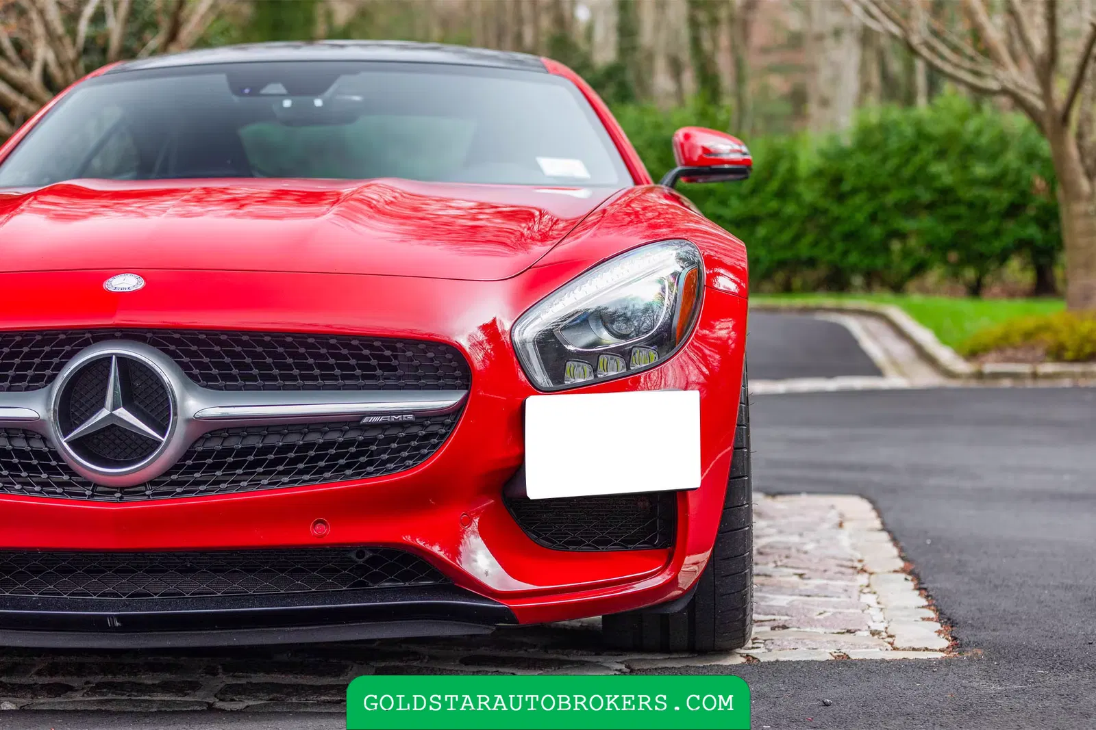 2016 Mercedes-Benz AMG GT S