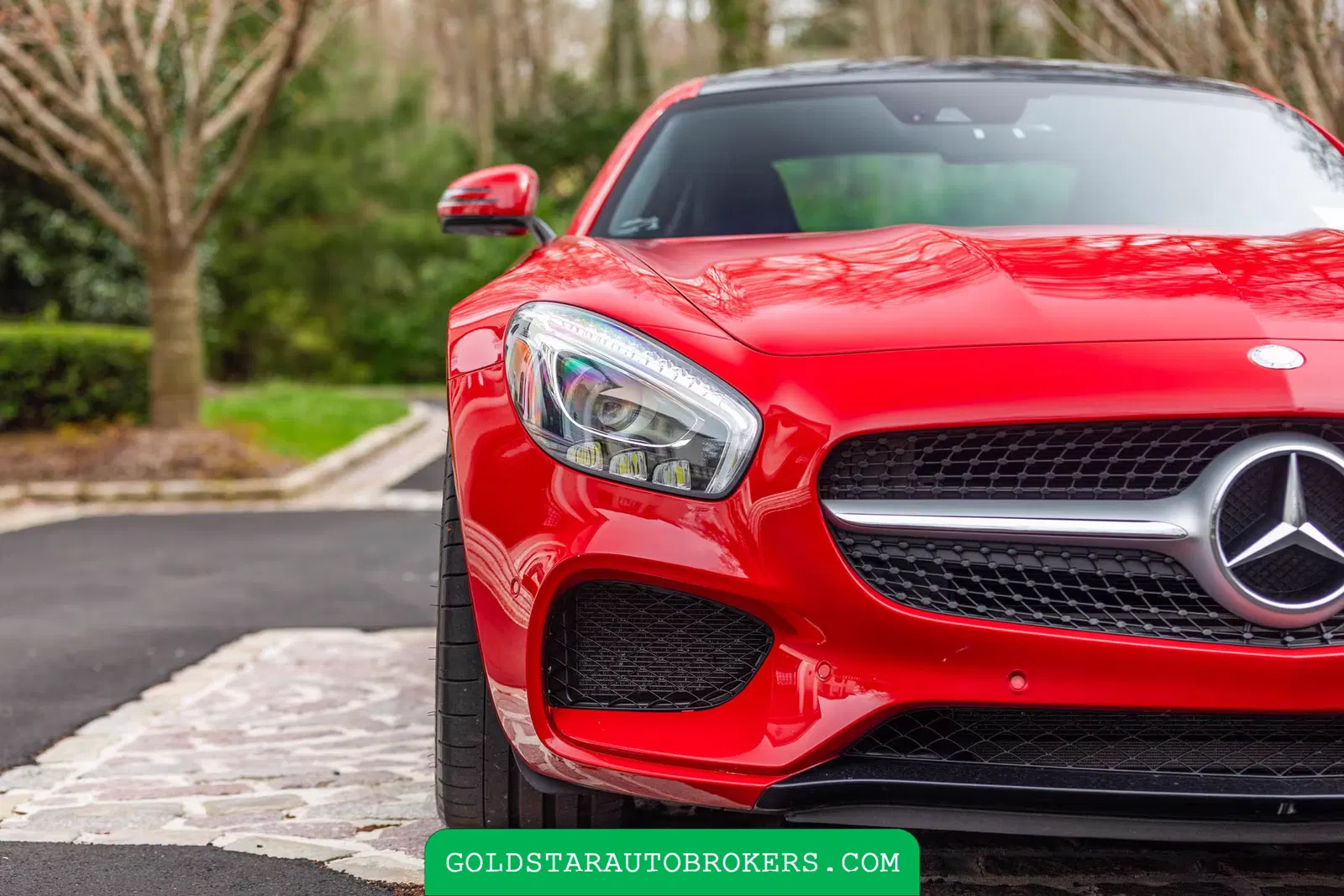 2016 Mercedes-Benz AMG GT S