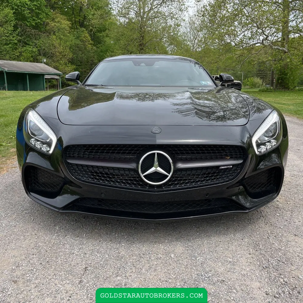 2016 Mercedes-Benz AMG GT S S