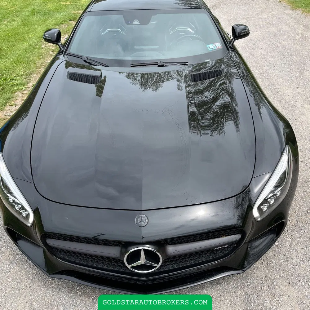 2016 Mercedes-Benz AMG GT S S