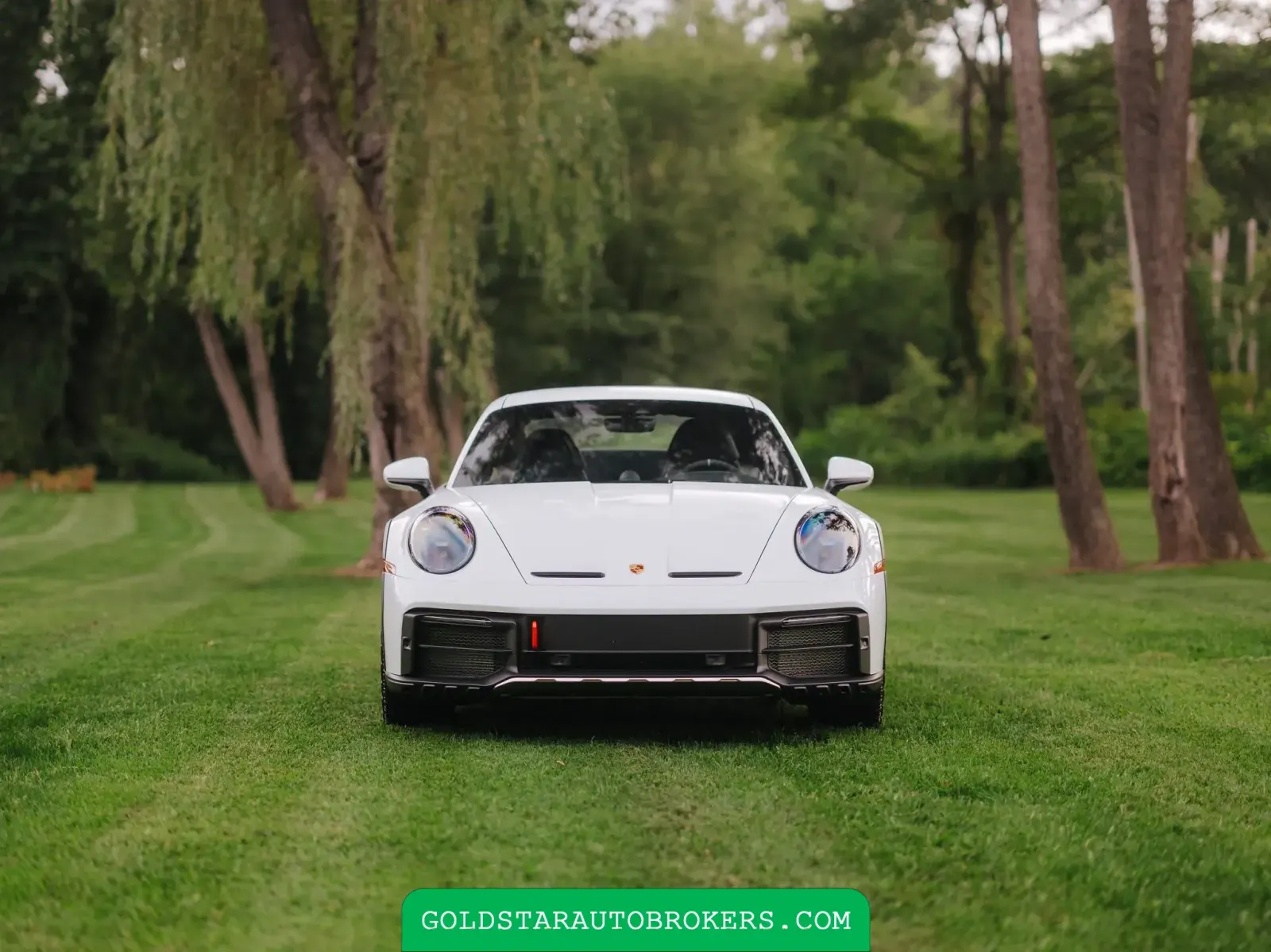 2023 Porsche 911 Dakar