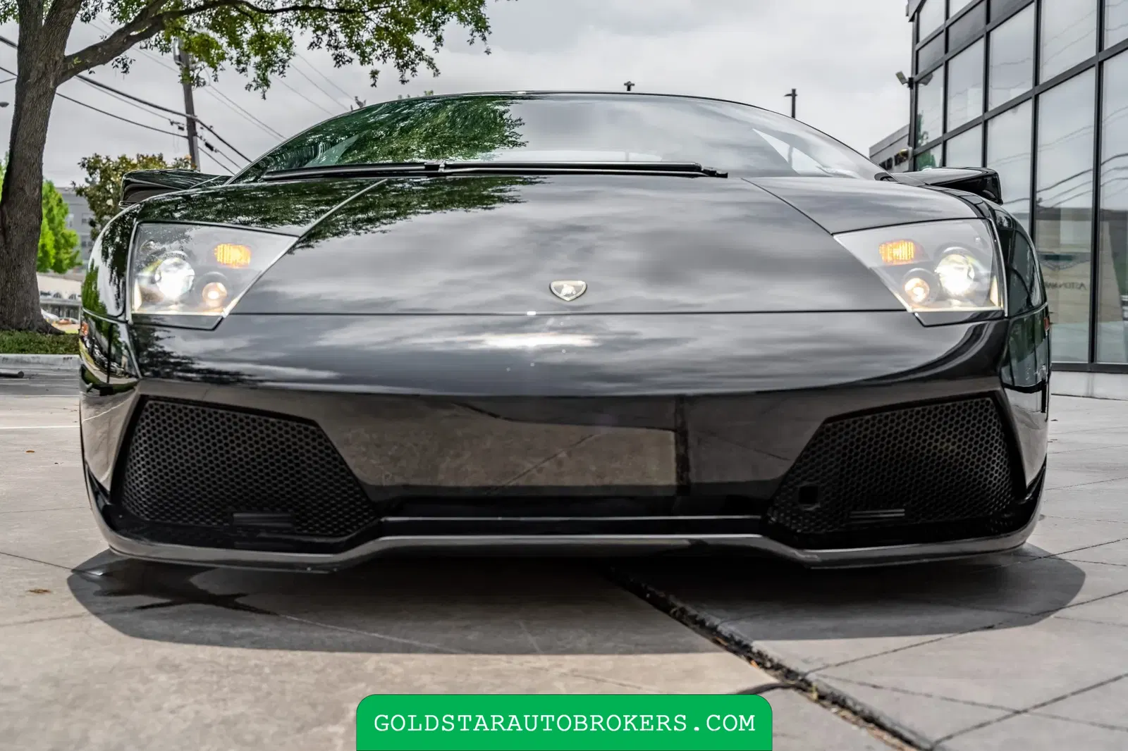 7k-Mile 2007 Lamborghini Murcielago LP640 Versace Edition