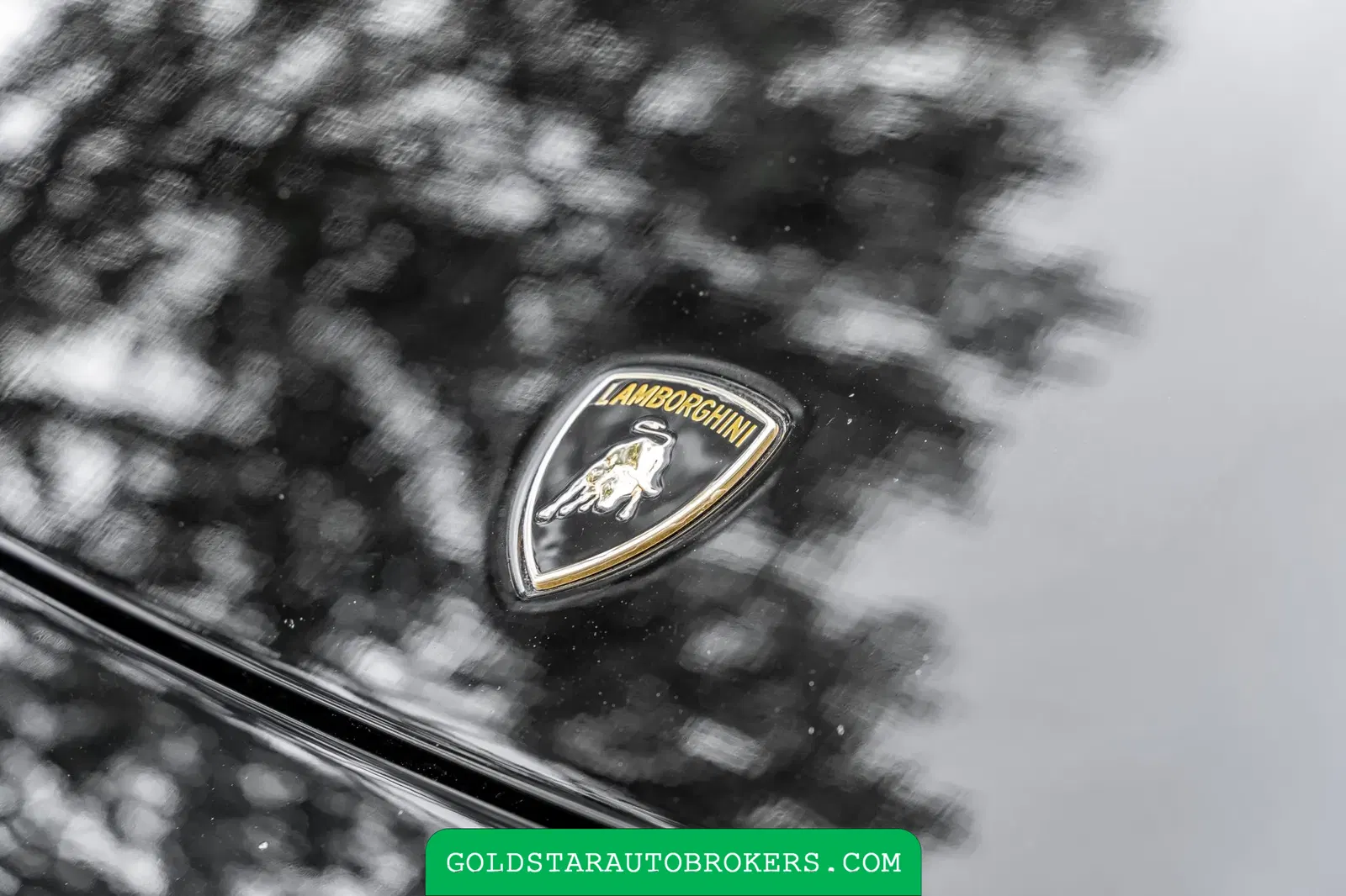 7k-Mile 2007 Lamborghini Murcielago LP640 Versace Edition