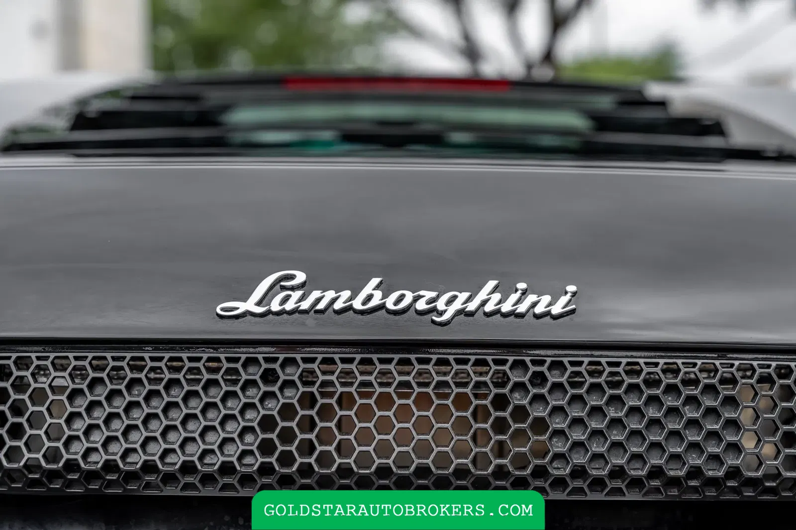 7k-Mile 2007 Lamborghini Murcielago LP640 Versace Edition